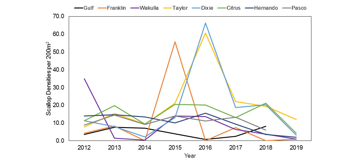2019 Scallop Survey Graph